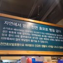 슈가로프베이커리 이미지