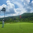 오투그린 이미지