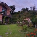 봉스테이 이미지