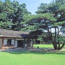 천하명당 이미지