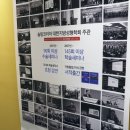 S라인V라인의원 네이버블로그