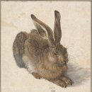 알브레히트 뒤러(Albrecht Dürer)의 산토끼(Young Hare) 이미지