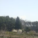 대야미역 이미지