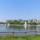 일산호수공원 이미지