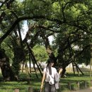 성밖숲샤브샤브 이미지