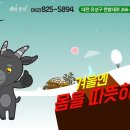 고향흑염소