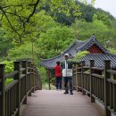 동도초등학교 이미지