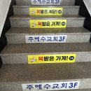 11215-화양-164-3 | [서울/건대 맛집]노산서 도삭면: 우육도삭면과 양꼬치가 맛있는 맛으로 승부하는 건대 도삭면 맛집