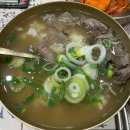 현대김밥나라동림점 | 현대카드 슈퍼매치 14 - 야닉 시너 vs 카를로스 알카라스 (인스파이어 아레나 직관 후기)