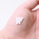 화잘먹 연어크림 스와니코코 PDRN크림 솔직 후기