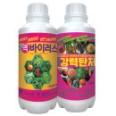 곳간365마켓 | 고추 웃거름 정확한 위치와 시기 "뿌리 옆에 주면 다 타 죽어요!"