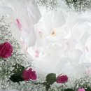 봉오대로894번길 이미지