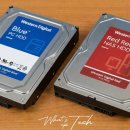 Raid PC | nas hdd 일반 hdd차이 나스 pc 하드디스크 하드