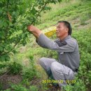 삼수농장 이미지