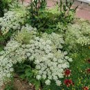 구학산농장 이미지