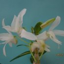 승학농장 이미지