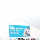 [대전시립미술관,대전엑스포시민광장]전시회, 동물보호 문화축제 후기