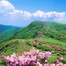 소백왕감자탕 이미지