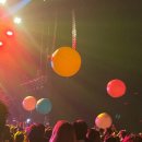 오프스프링+심플플랜 도쿄 콘서트 후기