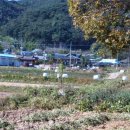 금평축산