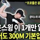 Long Hitter 이미지