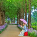 아침풍경 이미지