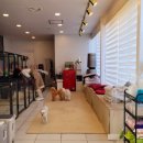 꼬망스펫 이미지