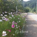 송악면 강당로 이미지