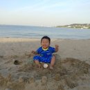 민오토