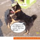 깜댕이 이미지