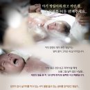 어루 이미지
