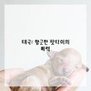 가정식집밥 이미지