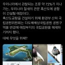 한국의 야생조류 72% 킬 예정인데 조용한 자칭 새 애호가들 이미지
