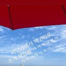 테라머뭄 이미지