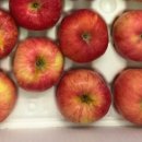 햇터농장 이미지