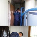 양간로 Daum카페