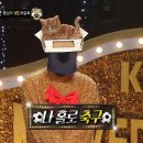 3월16일 복면가왕 나이스캣치 혼자서도 잘한다냥, '뚱냥이'의 나 홀로 축구 영상 이미지