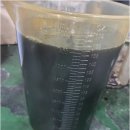 보라모터스 이미지