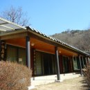 사단법인 조계정토불교총원 Daum카페