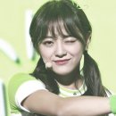 단짝 이미지