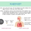 킴벌리상사 이미지