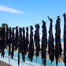 마을n사람 이미지