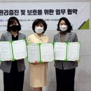 아동종합보호센터 이미지