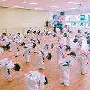 라이온 태권도 이미지