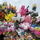 호랑이 | 전주동물원 후기 호랑이부터 곰까지 구경