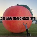 군민회관 체육관(체육이외행사) | 2025세종 조치원 복숭아축제 저녁방문 후기, 늦게가도 복숭아 구매 가능할까? 주차장 추천