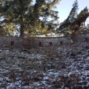 초이농협 이미지