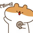 컴페니언 펫 이미지