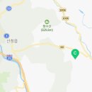 신등상회