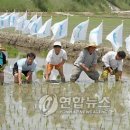 성덕동-9 이미지